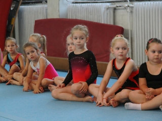 Toborzó a Dunaferr tornászainál! - fotó: 