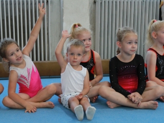 Toborzó a Dunaferr tornászainál! - fotó: 