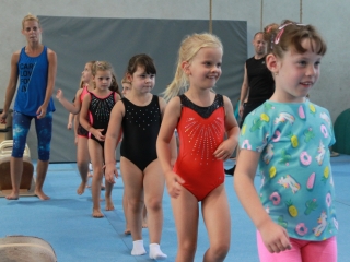 Toborzó a Dunaferr tornászainál! - fotó: 