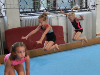 Toborzó a Dunaferr tornászainál! - fotó: 