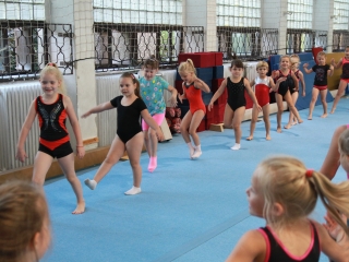 Toborzó a Dunaferr tornászainál! - fotó: 