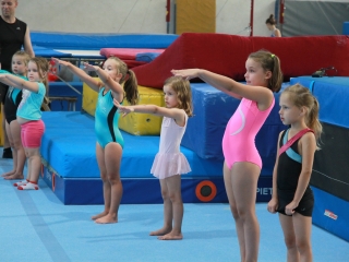 Toborzó a Dunaferr tornászainál! - fotó: 