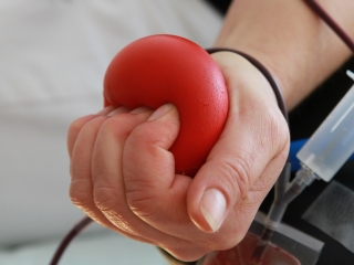 Családi ÖKO-nap Újtelepen - fotó: 