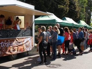 Családi ÖKO-nap Újtelepen - fotó: 