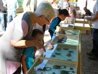 Családi ÖKO-nap Újtelepen - fotó: 