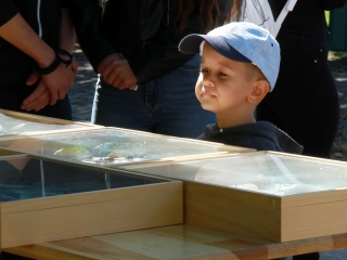 Családi ÖKO-nap Újtelepen - fotó: 