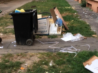 Illegális szemetelés a Római 39. mögött - fotó: 