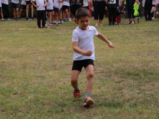 Mozgás, mozgás, Vasvári! - fotó: 