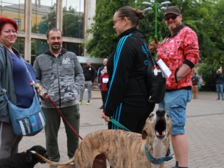 "Fuss velünk, fuss értünk!" - jótét akció a belvárosban - fotó: 