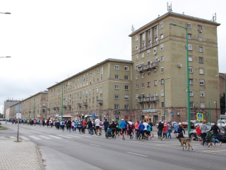 "Fuss velünk, fuss értünk!" - jótét akció a belvárosban - fotó: 