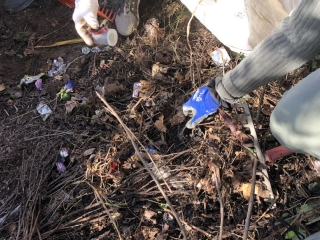 Közösségi takarítás a kistemetőben - fotó: 