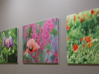 Kuruczné Gál Kriszta kiállítása a Bartókban - fotó: 