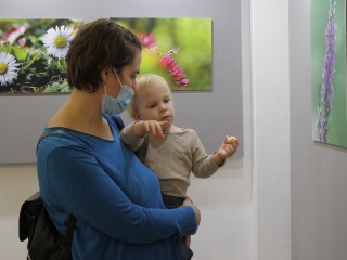 Kuruczné Gál Kriszta kiállítása a Bartókban - fotó: 