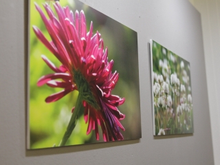 Kuruczné Gál Kriszta kiállítása a Bartókban - fotó: 