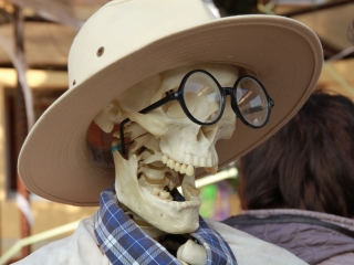 Nyílt nap és Halloween-mulatság a Pannonban - fotó: 