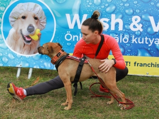 Hard Dog Race Dunaújvárosban - fotó: 