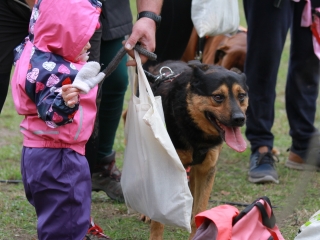 Hard Dog Race Dunaújvárosban - fotó: 