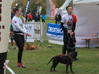 Hard Dog Race Dunaújvárosban - fotó: 