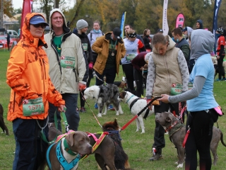 Hard Dog Race Dunaújvárosban - fotó: 