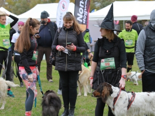 Hard Dog Race Dunaújvárosban - fotó: 