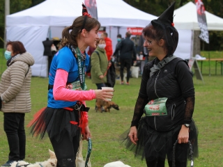 Hard Dog Race Dunaújvárosban - fotó: 