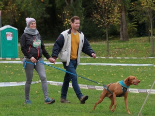 Hard Dog Race Dunaújvárosban - fotó: 