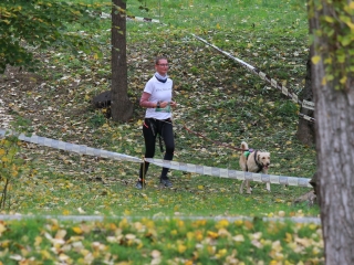 Hard Dog Race Dunaújvárosban - fotó: 