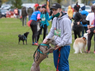 Hard Dog Race Dunaújvárosban - fotó: 