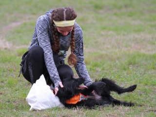 Hard Dog Race Dunaújvárosban - fotó: 