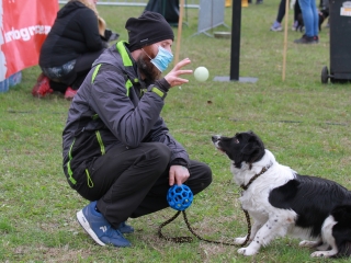 Hard Dog Race Dunaújvárosban - fotó: 