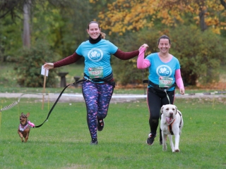 Hard Dog Race Dunaújvárosban - fotó: 