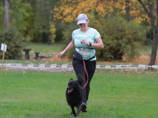 Hard Dog Race Dunaújvárosban - fotó: 