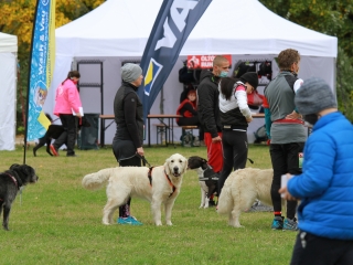 Hard Dog Race Dunaújvárosban - fotó: 