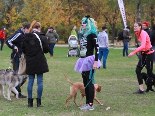 Hard Dog Race Dunaújvárosban - fotó: 