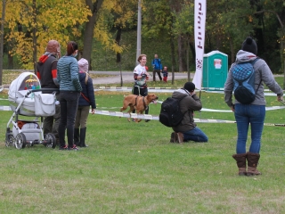 Hard Dog Race Dunaújvárosban - fotó: 