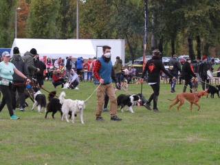 Hard Dog Race Dunaújvárosban - fotó: 