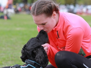 Hard Dog Race Dunaújvárosban - fotó: 