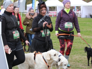 Hard Dog Race Dunaújvárosban - fotó: 