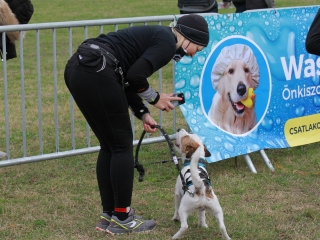 Hard Dog Race Dunaújvárosban - fotó: 