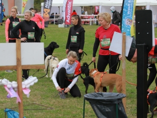 Hard Dog Race Dunaújvárosban - fotó: 