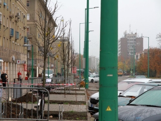 Faültetés a Vasmű úton - fotó: 