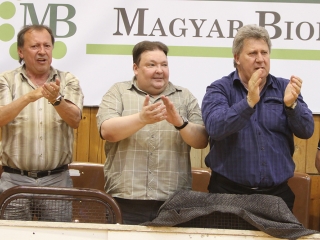 DKKA-Érd-2015.05.13. - fotó: Sándor Judit