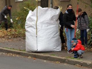 Levélgyűjtés a városban - fotó: 