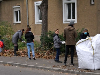 Levélgyűjtés a városban - fotó: 