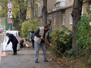 Levélgyűjtés a városban - fotó: 