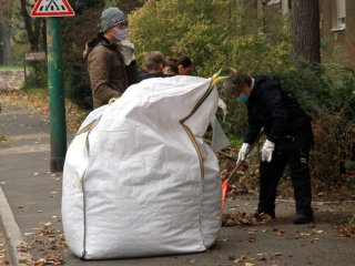 Levélgyűjtés a városban - fotó: 