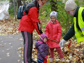Levélgyűjtés a városban - fotó: 