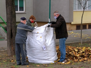 Levélgyűjtés a városban - fotó: 