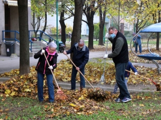Levélgyűjtés a városban - fotó: 