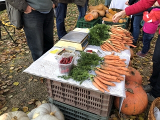 Dunai Kincses Kert a Szalki-szigeten - fotó: 